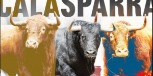 Feria del Arroz
