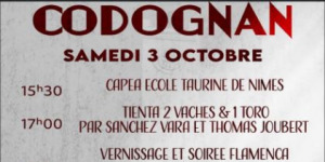 Week end taurin