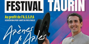 Festival Taurin