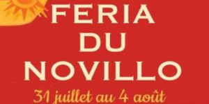 feria-du-novillo