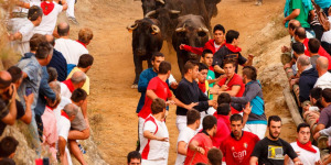 fiestas-de-falces