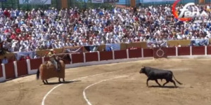 Céret de Toros