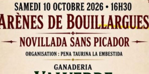 novillada