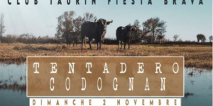 Jornada Taurina