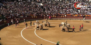 Fiestas de Magdalena