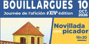 Novillada