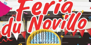 feria-du-novillo