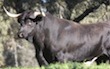 uploads/canales/281s6ej9uzpcc0s48s.jpg
