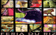 uploads/canales/kasw4ukq6cggw0kcsw.jpg