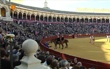 uploads/canales/sevilla-2012.jpg