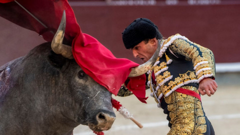 Madrid. Damián Castaño se joue la vie devant les Escolar