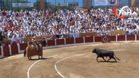Les cartels officiels de Céret de Toros 2026