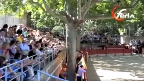 Le cartel de la 11ème Feria de la Jouvenço de Tarascon