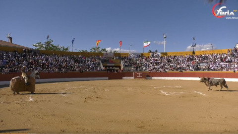 San Agustín del Guadalix. Las ganaderías de la Feria del Aficionado