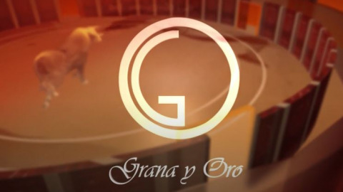 Une heure d'images taurines dans Grana y Oro. Voir l'émission