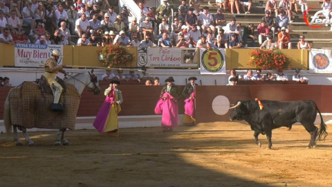 Les élevages de la Feria du Novillo d'Hagetmau 2026