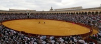 plazatoros_sevilla.jpg