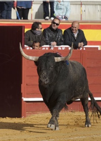 sanchez_vara_cenicientos0000.jpg