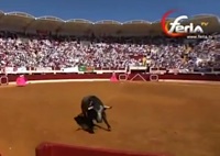 torosvic.jpg