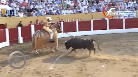 un-toro-de-vuelta-de-juan-luis-fraile-para-el-final-de-ceret-de-toros