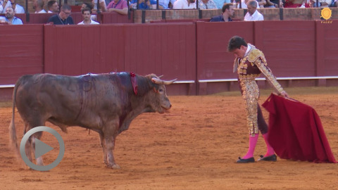 seville-le-bon-concept-de-fabio-jimenez