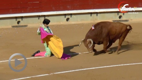 castellon-el-fandi-a-hombros