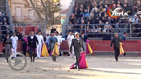 festival-toreart