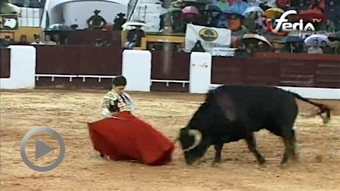 gines-marin-a-hombros-a-olivenza