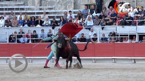 arles-baltasar-iban-remporte-le-defi-ganadero-face-a-miura-une-oreille-pour-chaque-torero