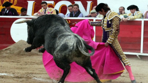 saldivar-triomphe-en-ouverture-de-leon