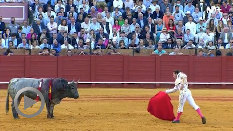 oreille-pour-ferrera-a-seville