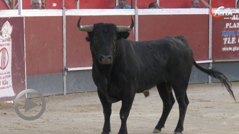 Calasparra. Les Raso de Portillo au dessus de la terna