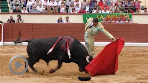 orthez-novillada-de-valverde