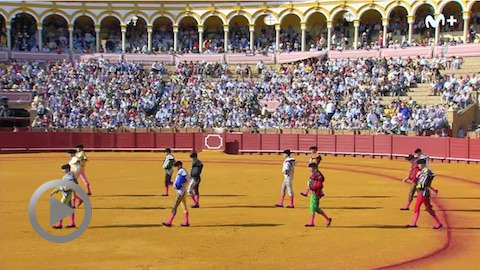 sevilla-la-terna-au-dessus-du-lot