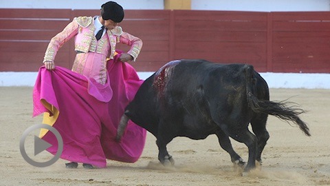 la-linea-padilla-et-david-galvan-a-hombros