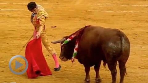 Fallas. Oreille pour José Tomás et Vicente Barrera
