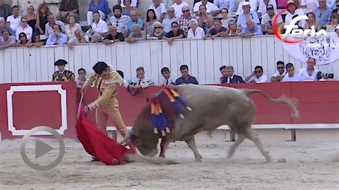 arles-cronista-de-el-tajo-y-la-reina-et-morenito-de-aranda-vainqueurs-de-la-concours