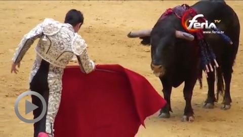 illumbe-barrera-castella-talavante