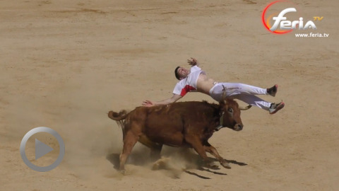 castellon-emotions-avec-les-maestros-de-la-calle