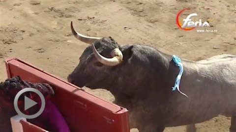 combates-ceretanos