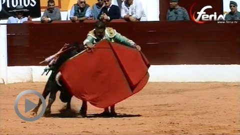 olivenza-puerta-grande-de-ferrera