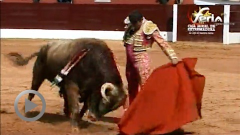 olivenza-antonio-ferrera