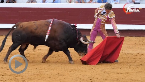 oreille-pour-juan-leal-et-gines-marin-en-cloture-de-dax