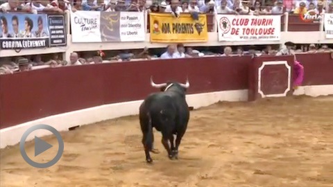 vic-corrida-de-dolores-aguirre