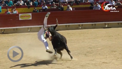 castellon-emotions-fortes-au-concours-de-anillas