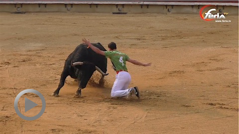 Castellón. Triomphale présentation des Victorinos Martín face aux recortadores