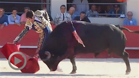 ales-penedor-de-cuille-lopez-chaves-et-gabin-rehabi-gagnent-les-prix