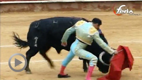 oreille-pour-enrique-ponce-a-almeria