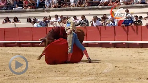 beziers-novillada-de-marge-oreille-pour-adrien-salenc-et-carlos-olsina