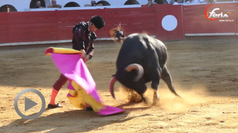 riscle-oreille-pour-morenito-de-aranda-et-el-rafi